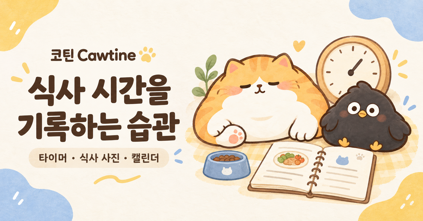 단식 타이머 소개 이미지